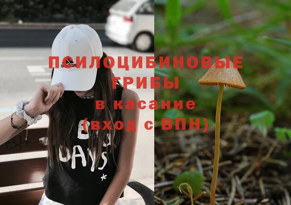 стафф Нязепетровск