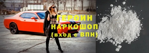 стаф Осинники