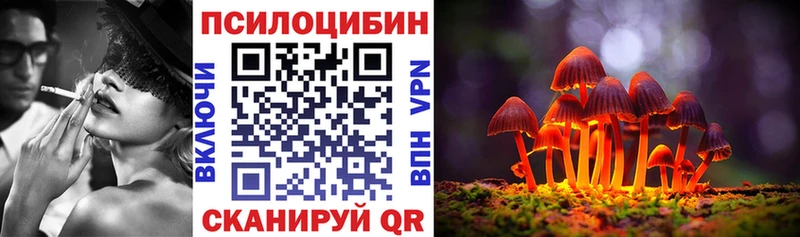 как найти наркотики  Фрязино  Псилоцибиновые грибы прущие грибы 