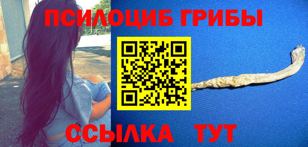 Фрязино  Псилоцибиновые грибы Psilocybe  Вход с VPN 