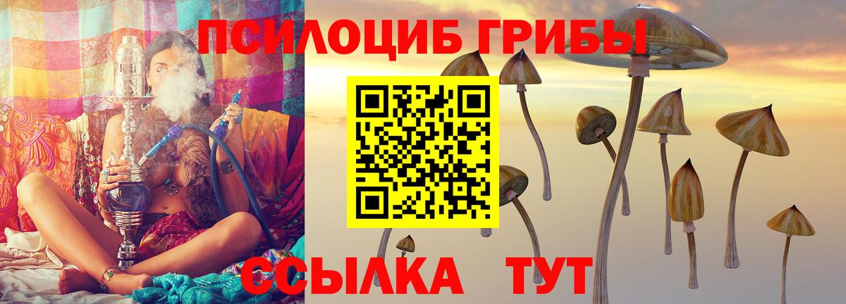 Галлюциногенные грибы Psilocybine cubensis Фрязино